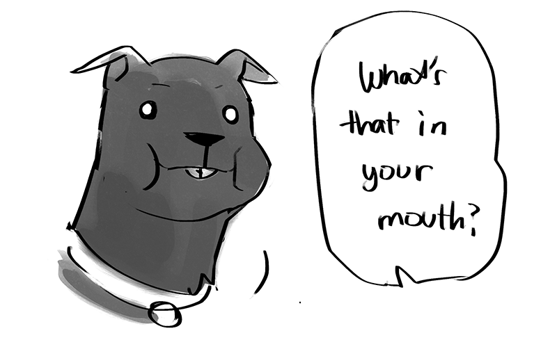 otahkoapisiakii:  starfleetrambo:  starfleetrambo: My dog has a habit where, right