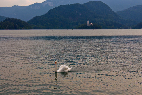 Lake Bled, Slovenia. Summer ‘15.