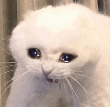 Ao3 Making Me Wait To Join The Second I Decided I Actually Wanted To Pick Up Writing Again. Ao3 Let Me