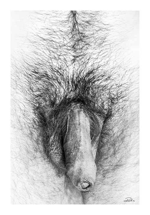 Sex Ars Artis pictures