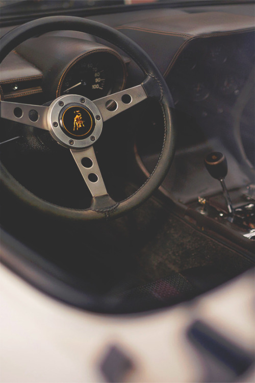 thelavishlife:  MiuraThe Lavish Life