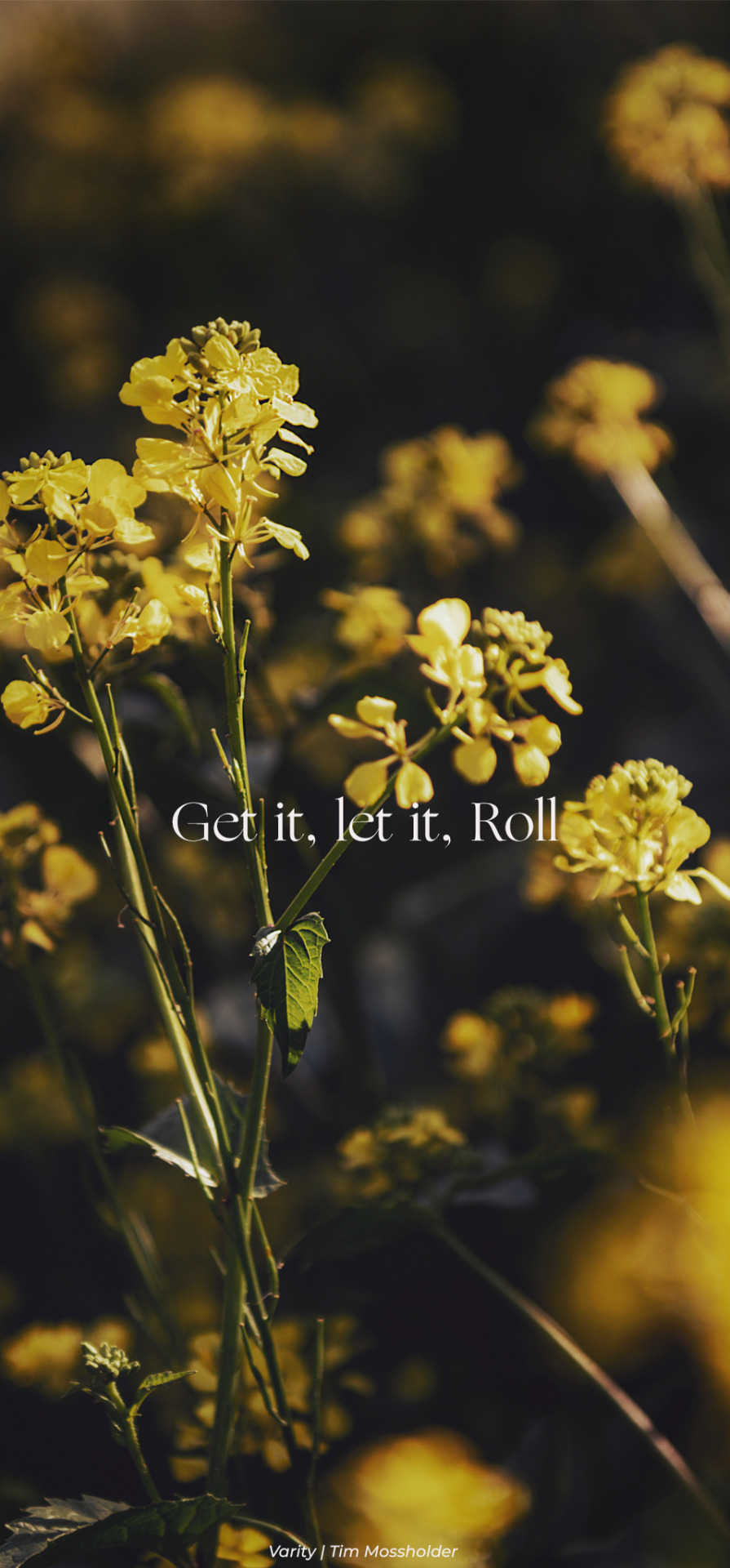 Song Wallpaper Tumblr Posts Tumbral Com Song Wallpaper Tumblr Posts Tumbral Com