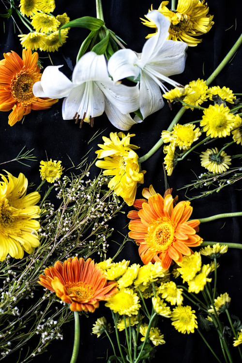 blooms on black, pt. two. 