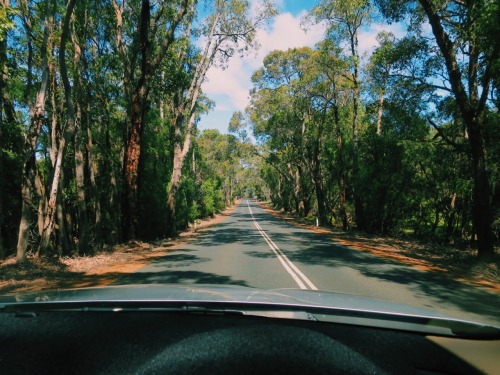 Spotted at 33°57′18″S, 115°4′30″E (Margaret River, Western Australia). Still one of my most favourit