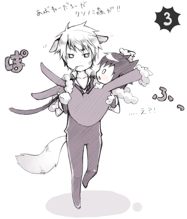 myotakucorner:  【シズイザ】転がってもらった。【腐】 | 神 夢