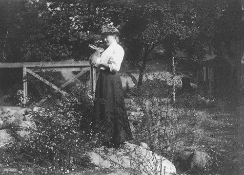 feuille-d-automne: Mrs. Franklin Brady holding a rabbit in a country setting, 1908 Photo by Wallace 