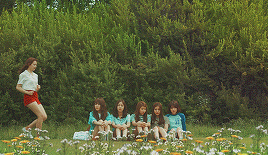 pastilpop:  anonymous made me choose:rough/snowflake or navillera/lol era 