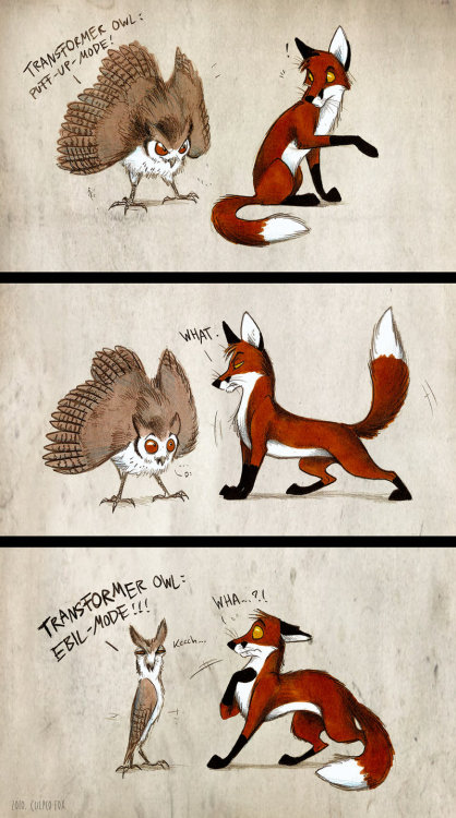 twizz-doodles:  azula-griffon:  verysaltyonions:  ask-ace-n-angel:  FOXES!!!  What  Hnnnn i remember reading these when i was 11 <33  Culpeo-fox senpai  YES I REMEMBER THESE  OMG Culpeo~ >w<