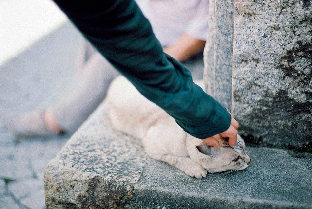 sinkling:  尾　道 by *dapple dapple(lazy) on Flickr. 