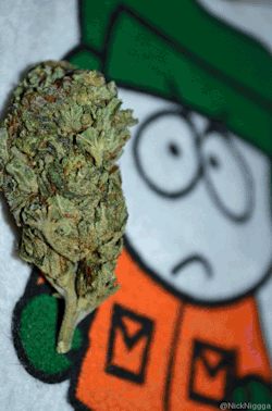 stonerpros:  This is a great one
