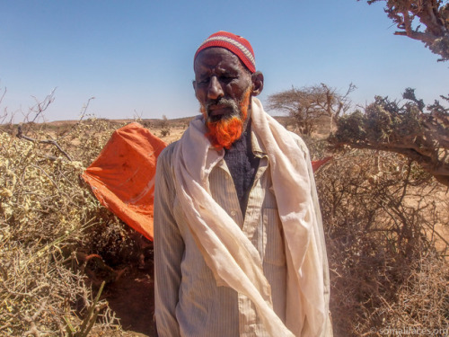 somalifaces: “I’ve survived many droughts, but this one is the worst I’ve ever exp