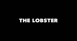 artfilmfan:The Lobster (Yorgos Lanthimos,