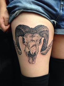fuckyeahtattoos:  This is my big horn sheep skull done in Vegas at Downtown Tattoo. My brilliant and friendly artist was Twin, who was a guest from Washington. I’m extremely happy with the final product after a little more than 3 hours of work.