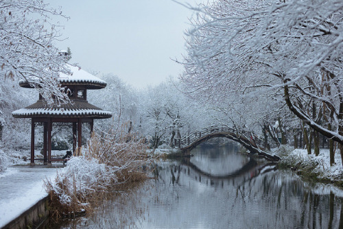 fuckyeahchinesegarden:Chinese garden in winter