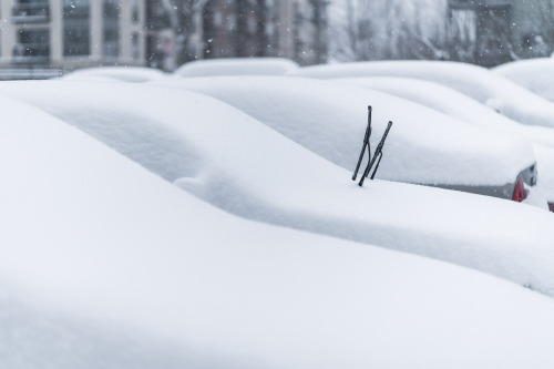 DECEMBER 11, 2016 - 346/366THIS WINDSHIELD WIPER SALUTEI have nothing else to add.