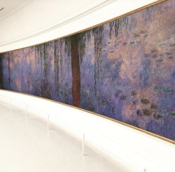 risfiorire:  Claude Monet Musée de l'Orangerie, Paris 