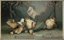 vintascope:  Vintage Easter Postcard on Flickr.  Go home, chicks, you are drunk