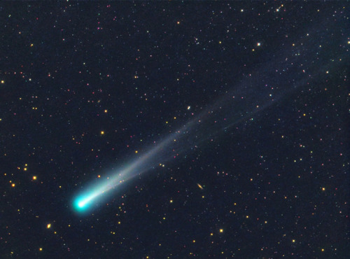 humanoidhistory:The two-tailed comet ISON on November 12, 2013. (NASA)