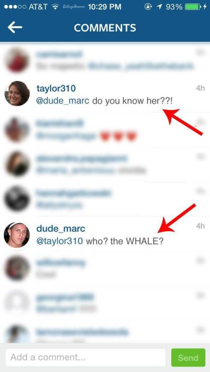 hyruleslaziest:  officialfrenchtoast:  amazing   Omg Wtf #jealous #whale #instagram #Whitegirls #fish #mammals