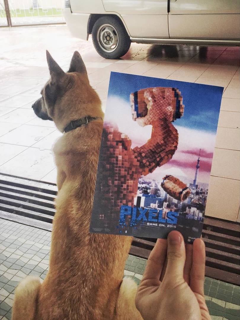 Hilarious Instagram movie poster mash-ups