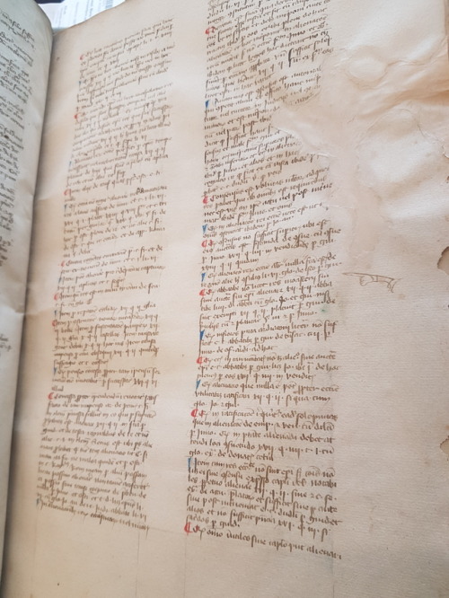 Ms. Codex 1222 -  Compendium iuris canonici Are there any law students? This is an alphabetical