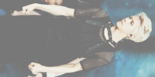 EXO Pale Headers