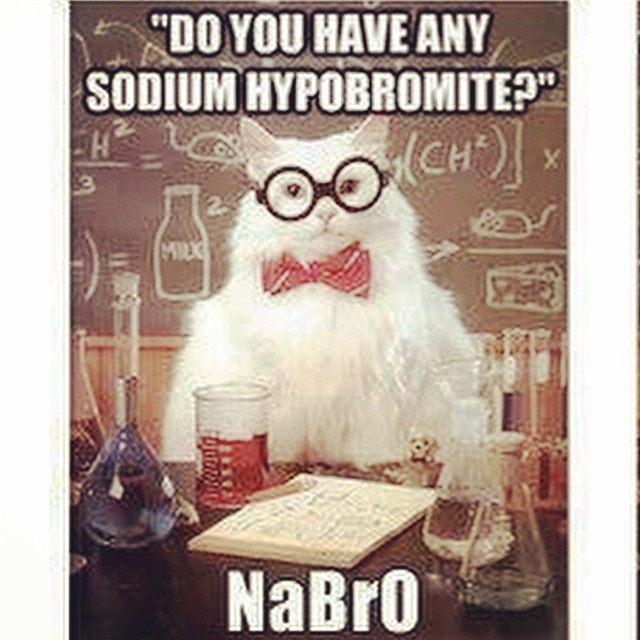 BrainFood on Tumblr: Chemistry Cat at its best &#128076;#chemistry #joke ...