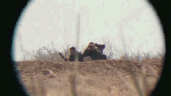 https://69.media.tumblr.com/0d827c6fe904645c99a6165341fdf5b8/tumblr_n5be5oMEQJ1r4jvjko1_400.gif