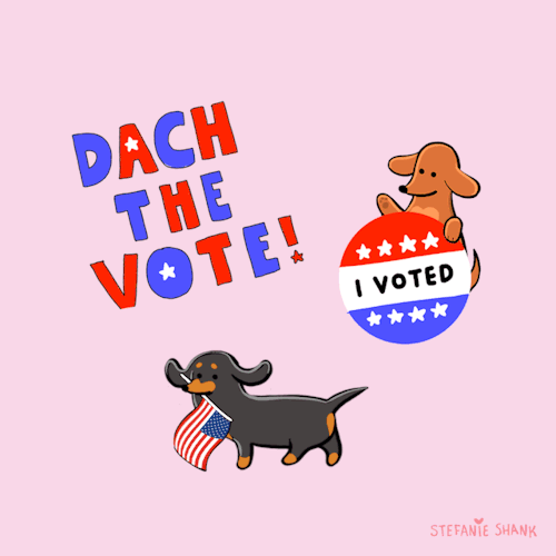 dach the vote!