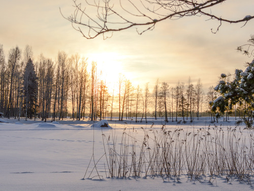 February noon