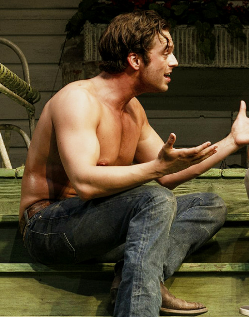 dailyevanstan:    Sebastian Stan in Picnic at the American Airlines Theatre, 2013.