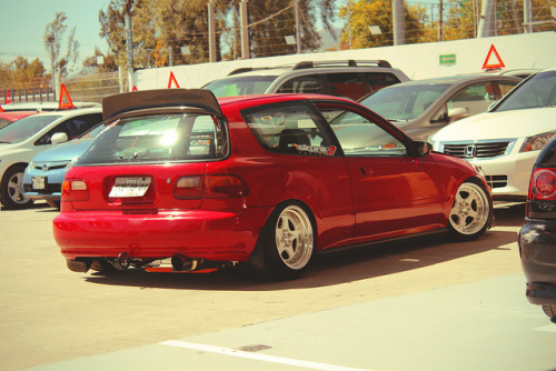 XXX lowlife4life:  Roy’s EG static by andre photo