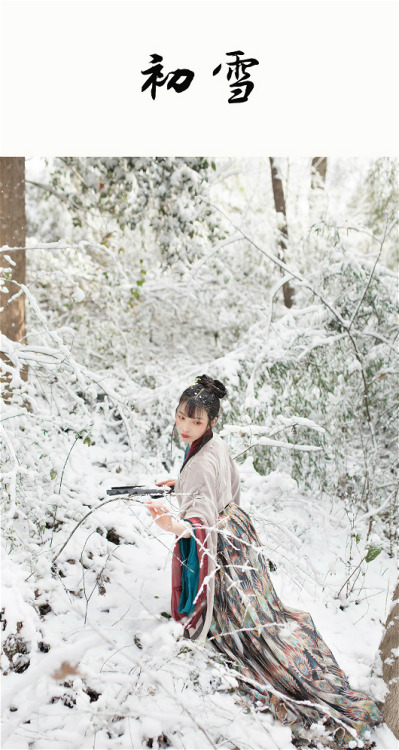 photographer: 大木木木杉