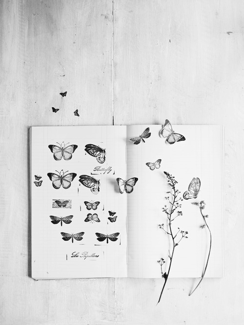 LOVELY | via Tumblr on We Heart It - weheartit.com/entry/149502957