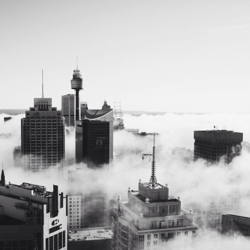 Take Me Back To These Gorgeous Sydney Views // More On My Instagram @billiephilips 