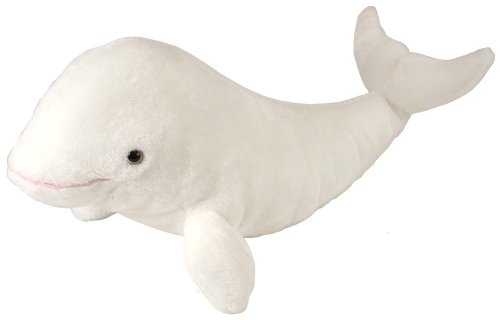 arlluk: in case anyone was in the market for some cute cetacean plush…humpback whaleorcahector’s dol