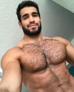 Pecs & Dicks