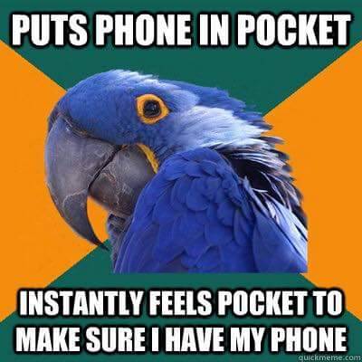 protectcombeferre:kat8noghosts:ithelpstodream:paranoid parrot…aren’t these normal things?!anxiety pa