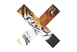 mildhoney:  mildhoney  the xx with a tiger
