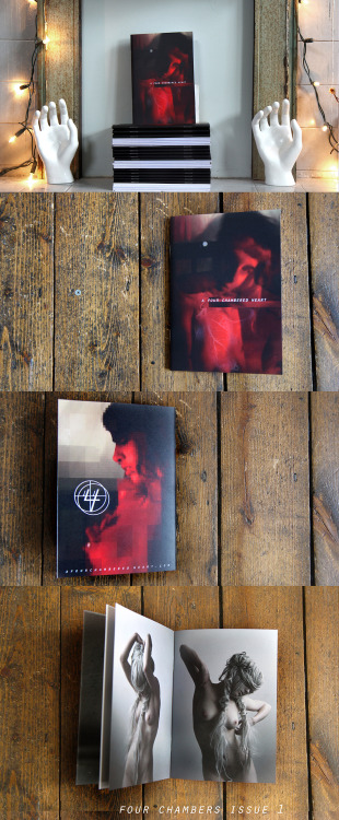XXX fourchambers:  Four Chambers Issue 1, 3, photo