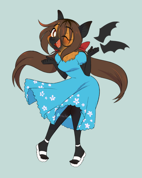 Seychelles the Fruit Bat