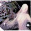 antigone-star