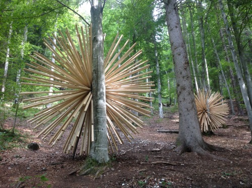 Arte Sella Incontri Internazionali Arte Natura  Val di Sella, Borgo Valsugana - Trentino.  © El