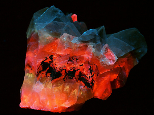 themineralogist:  Calcite in ultraviolet (by someHerrings)