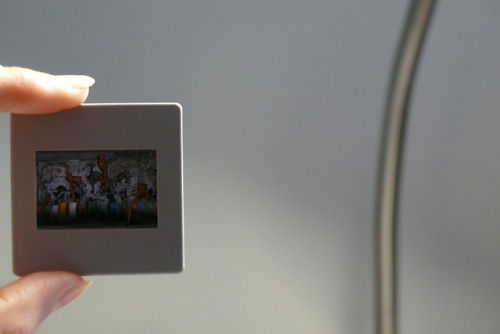 First time dia-photography!Unfortunately I didn’t take any pictures of the process.We did deve