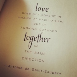 close-your-eyes-and-run:  Love does not consist in gazing at each other, but in looking outward together in the same direction -Antoine de Saint-Exupery