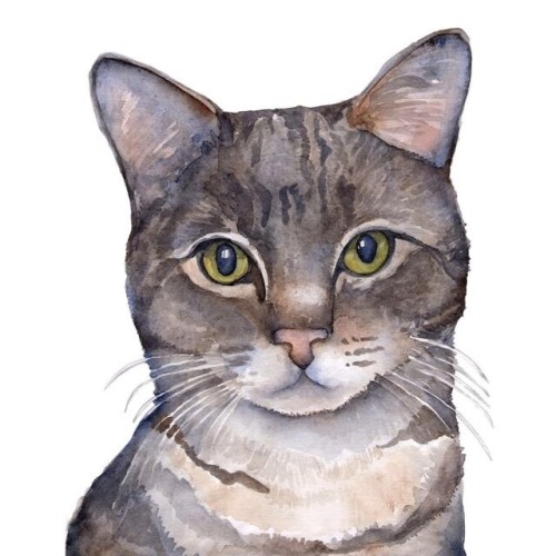 Happy Caturday Watercolor Cat Portraits by Kate Boyington www.etsy.com/shop/KateBoyingtonArt