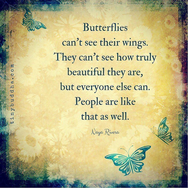 mdy-247: #Repost @tinybuddhaofficial ・・・ “Butterflies can’t see their wings.