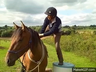 equine-awareness: There are better ways to start a horse than to just throw on the