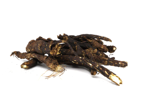  Osha Root is a very powerful plant and one of the most important herbs to Native American tribes wh